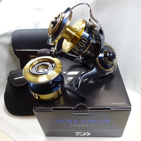 ２５ソルティガ２５０００－Ｐ